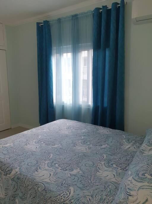 Central Upscale New Kingston Apt With Pool Bagian luar foto