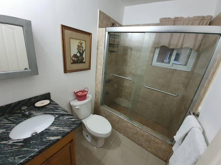 Central Upscale New Kingston Apt With Pool Bagian luar foto