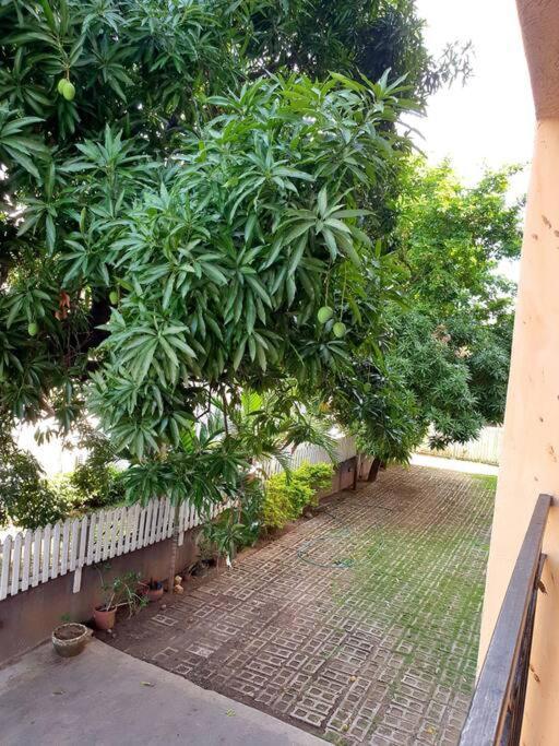 Central Upscale New Kingston Apt With Pool Bagian luar foto