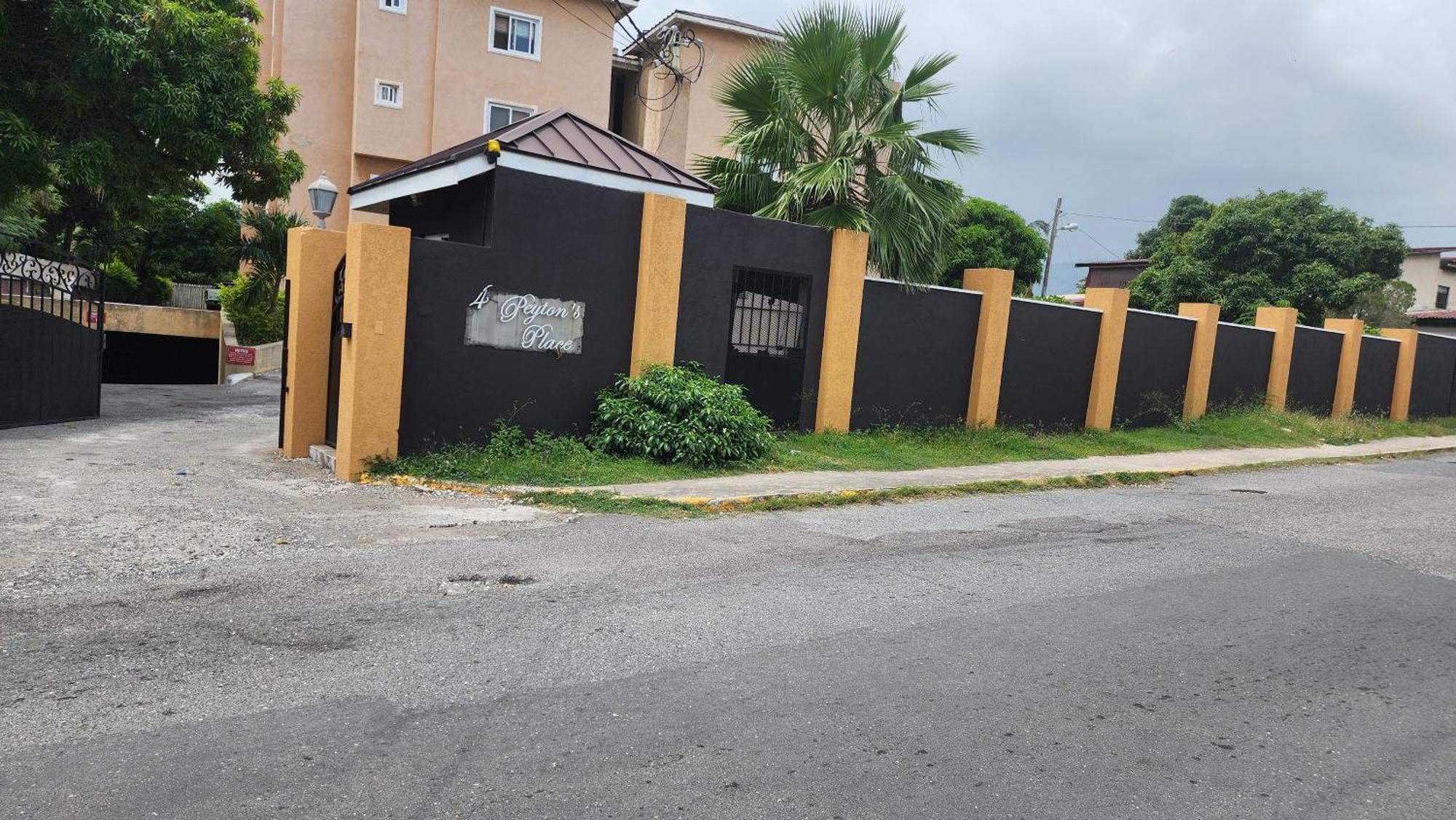 Central Upscale New Kingston Apt With Pool Bagian luar foto